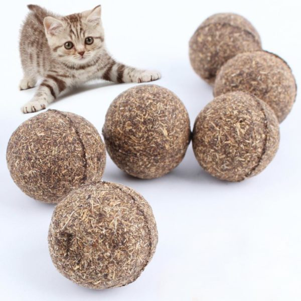 3 balles d'herbe à chat