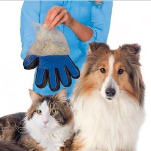 Gant anti poils de chat